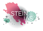 Stein IAS